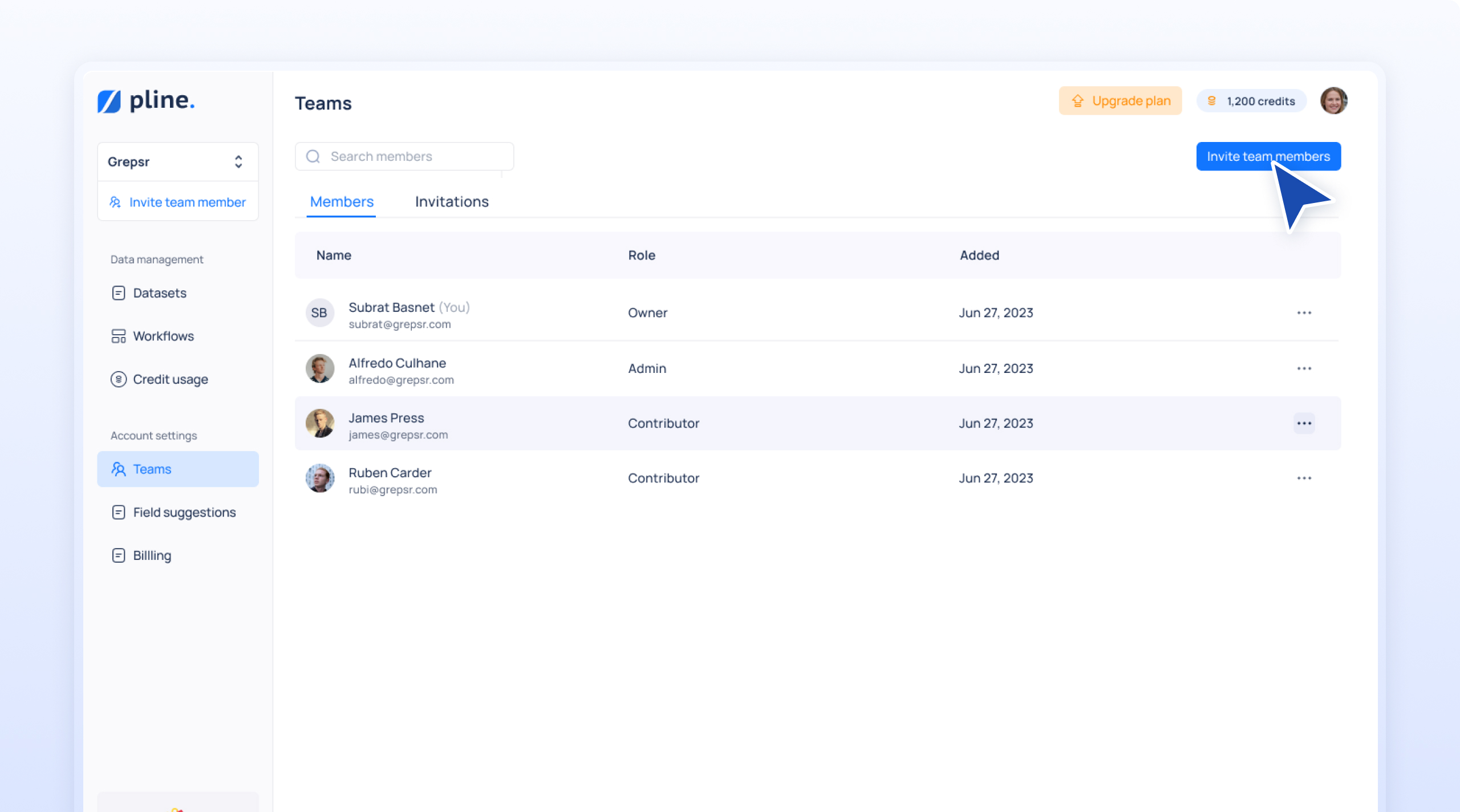 Team section in the Pline platform displaying team members, with an option to 'Invite Team Member'.